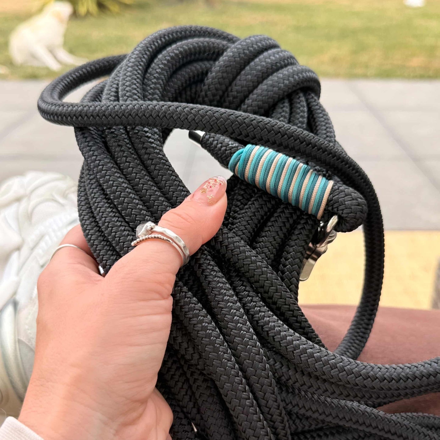 Long Leash - Snout & About