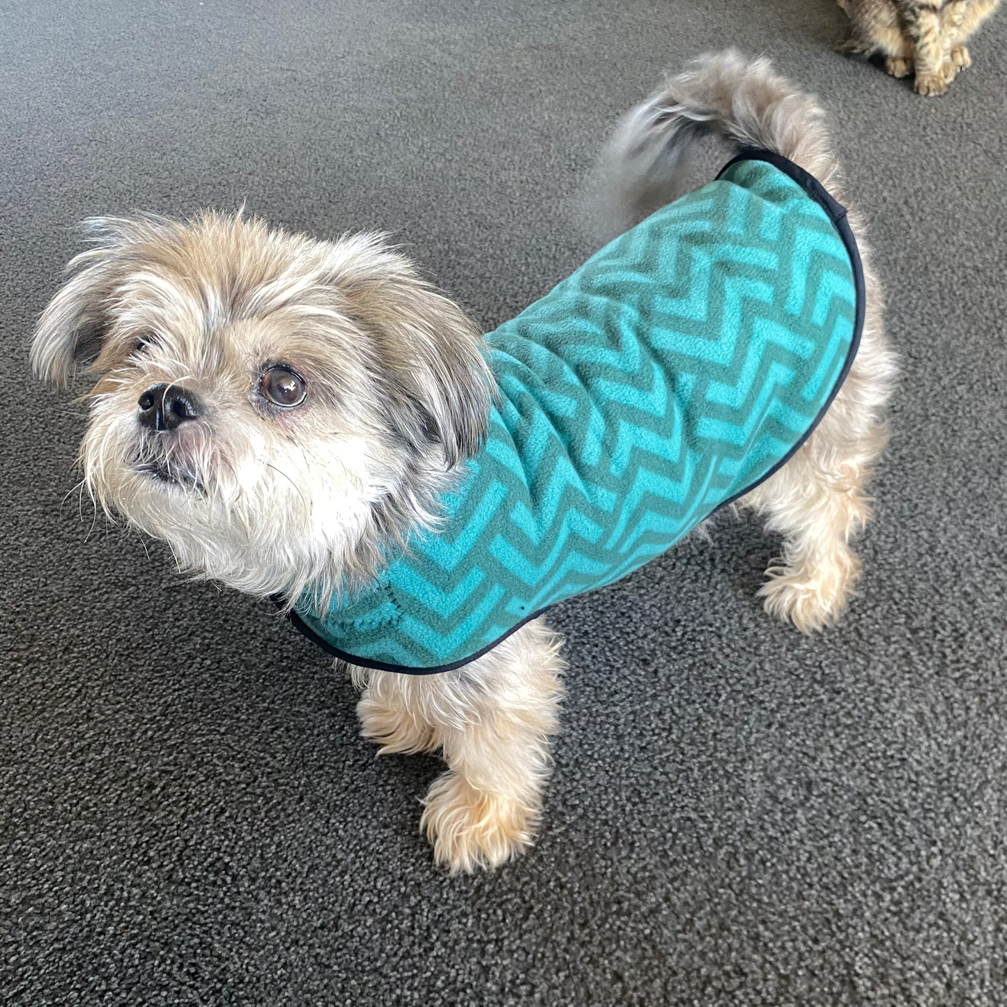 Dreamy Green, Fleece Dog Jacket