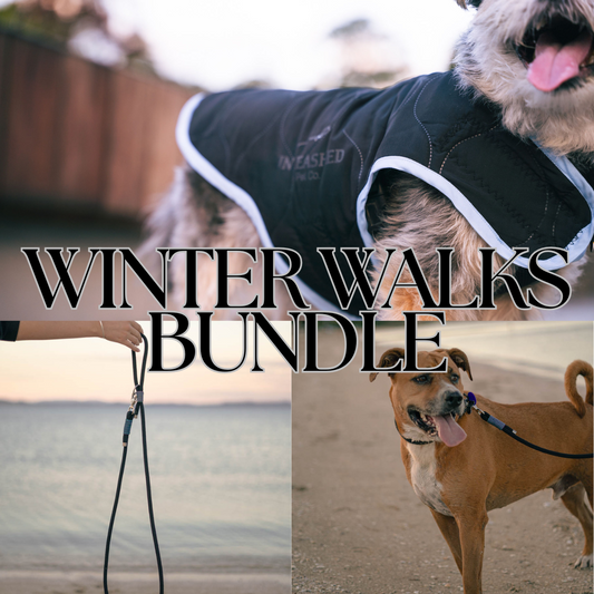 Dog wearing a winter coat with text 'Winter Walks Bundle' and another dog on a leash in the background.