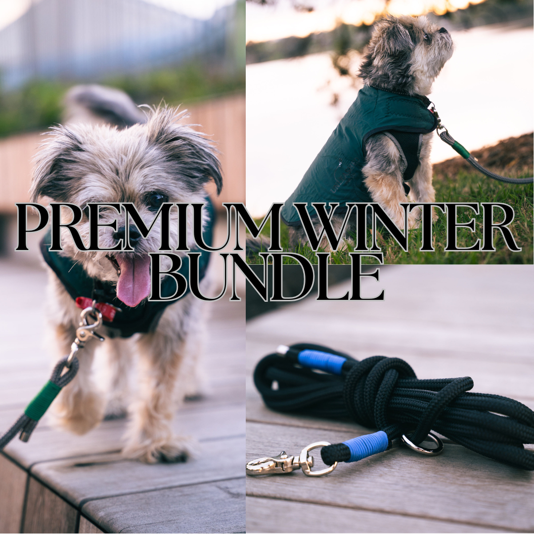 Dog wearing a winter bundle with a leash, set against a natural background.