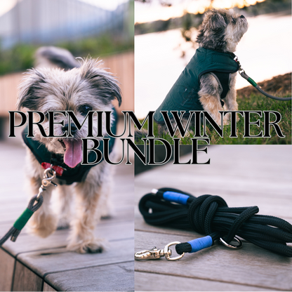Dog wearing a winter bundle with a leash, set against a natural background.