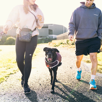 Winter Walks Bundle - Extra Large