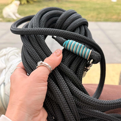 Long Leash - Snout & About