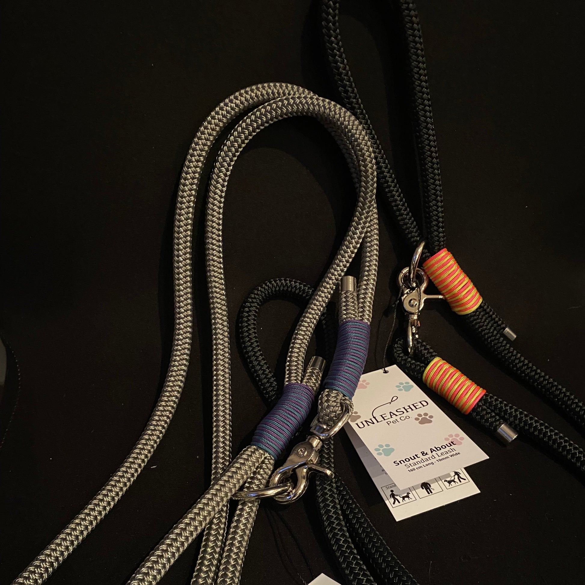 Dog leashes with tags on a dark background