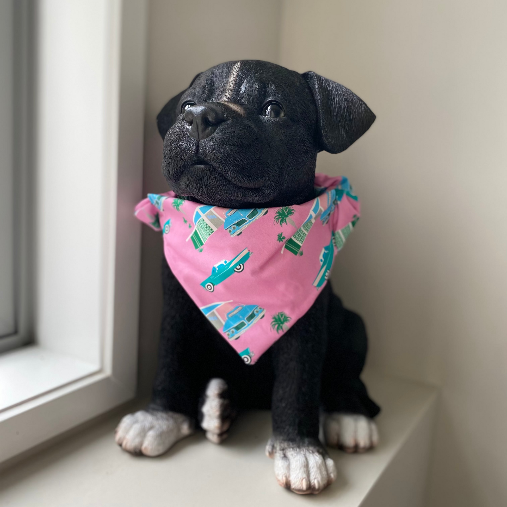 Black dog wearing a pink bandana with classic cars on it. 