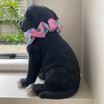 Black dog wearing a pink bandana with classic cars on it. 