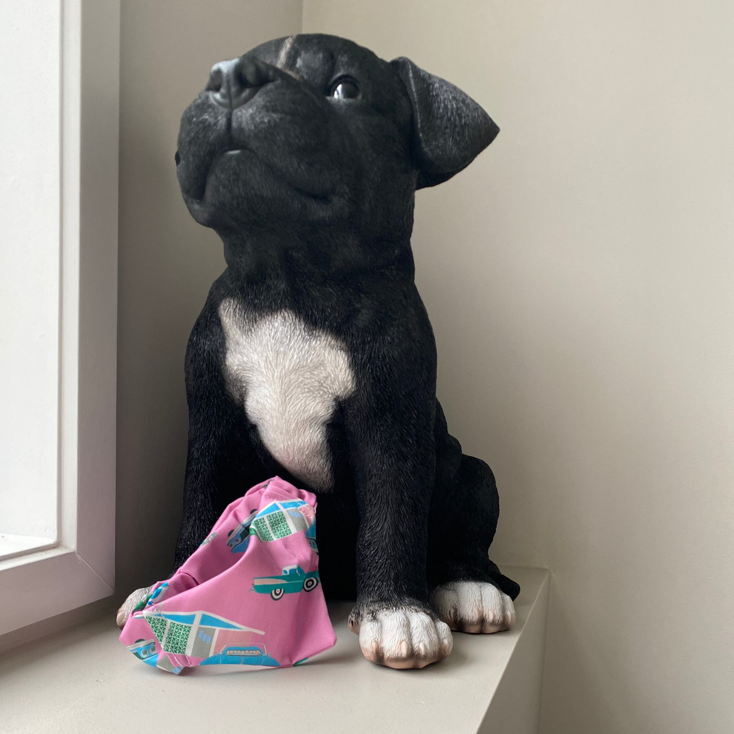 Black dog wearing a pink bandana with classic cars on it. 
