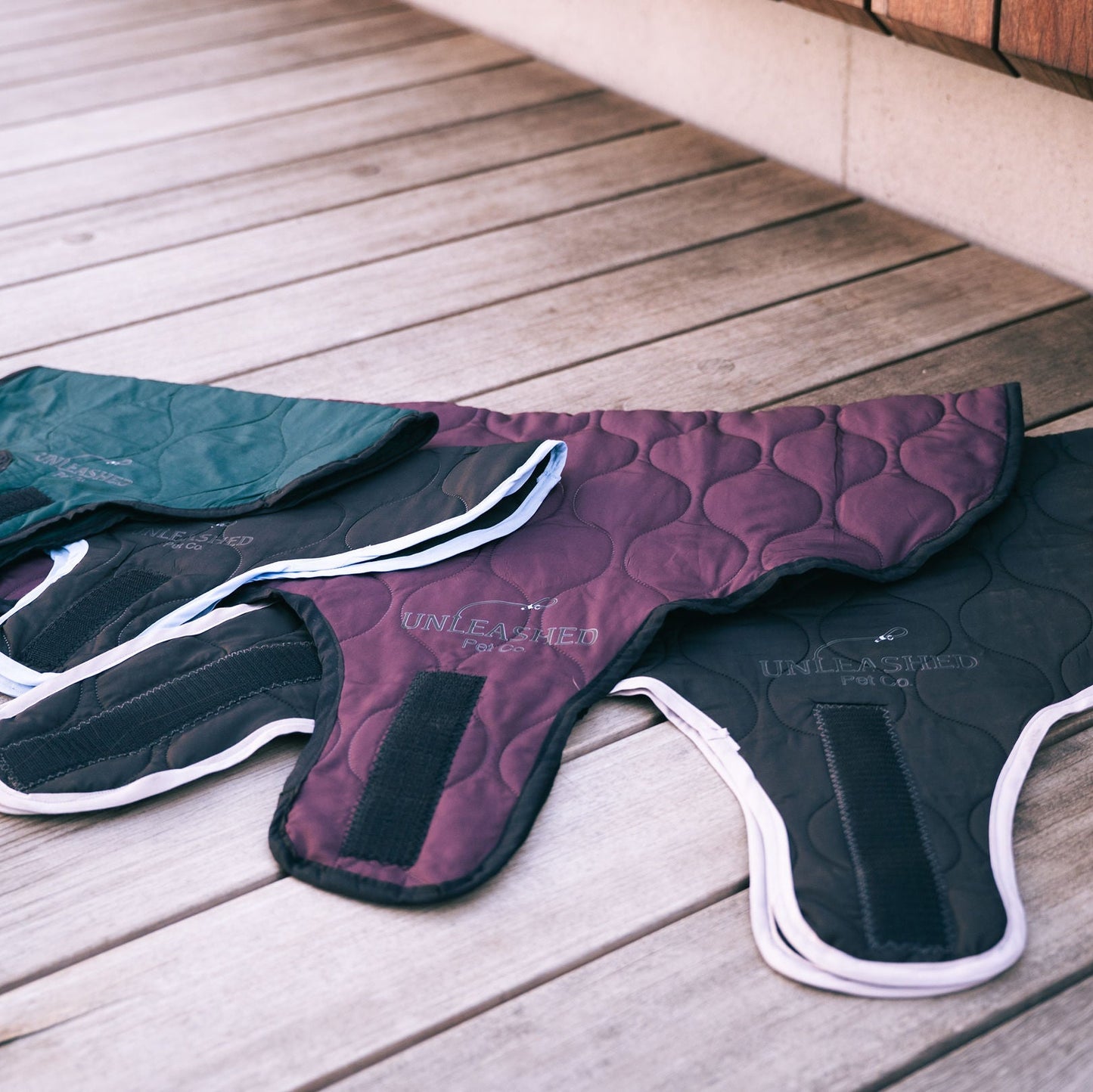 2 Small size dog jackets and 2 large size dog jackets on a deck background