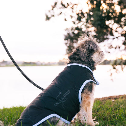Dog wearing a black jacket with a brand logo, sitting on grass by a lake.