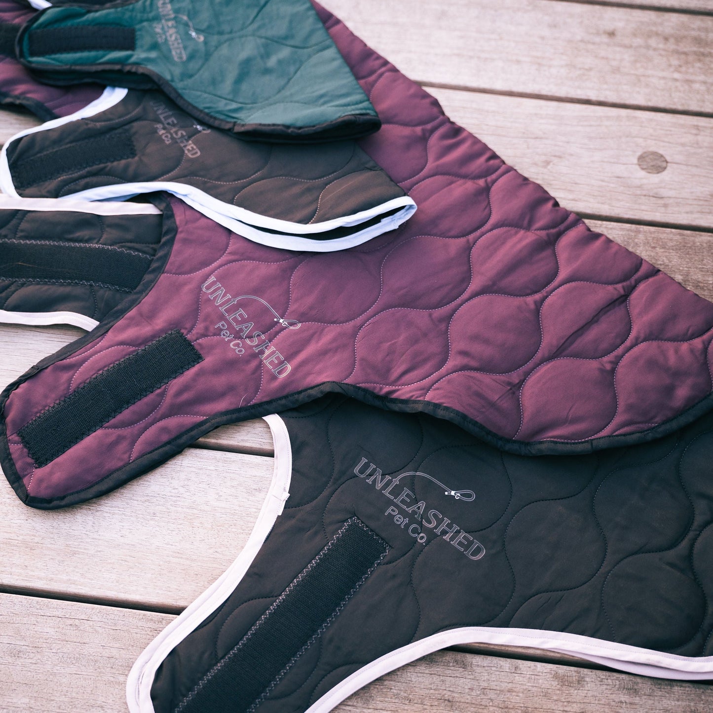 Premium Winter Bundle - Medium