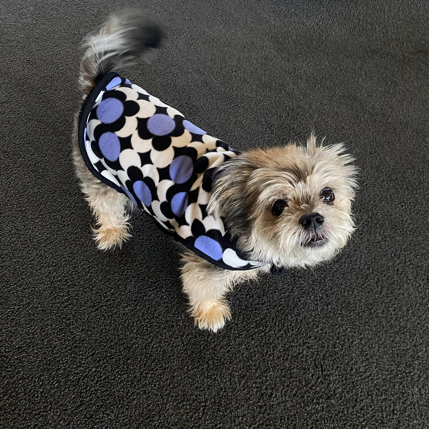 Purple Dreams, Fleece Dog Jacket