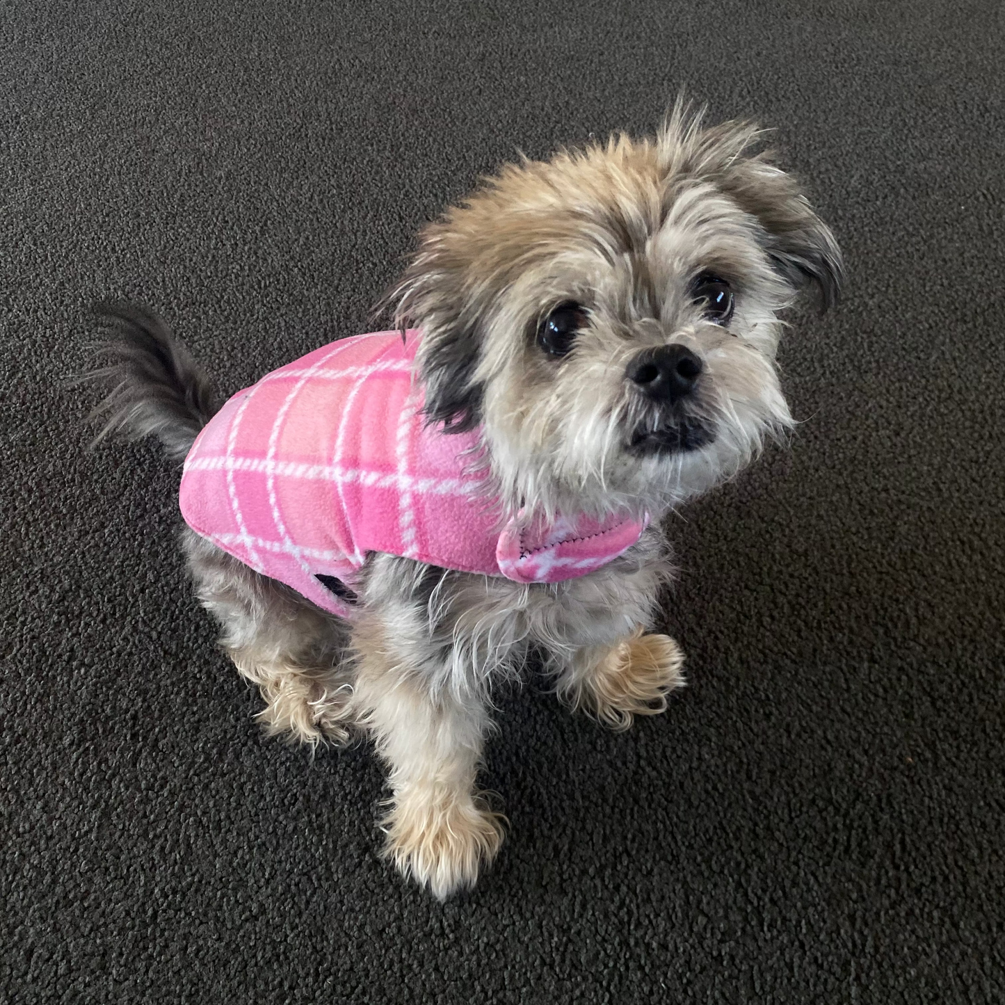 Pink Plaid, Fleece Dog Jacket
