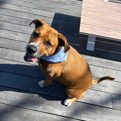 Summer Bloom, Scrunchy Dog Bandana
